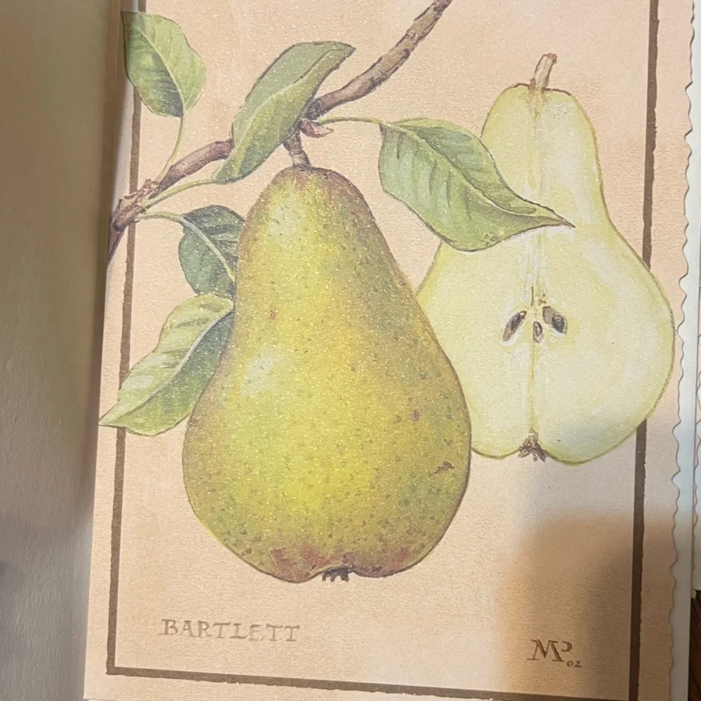 Southern Living 2002 Meg Page's Pears Artwork Blank 11 Cards and Evenlopes